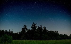 Preview wallpaper starry sky, trees, night, field