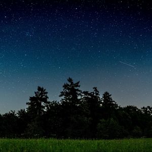 Preview wallpaper starry sky, trees, night, field