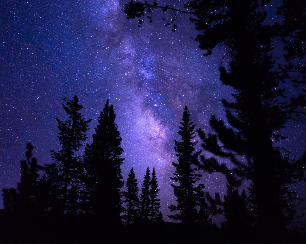 Download wallpaper 1280x1024 starry sky, trees, night, pines standard 5 ...