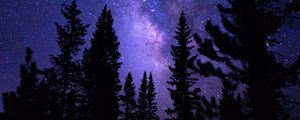 Preview wallpaper starry sky, trees, night, pines