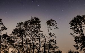 Preview wallpaper starry sky, trees, night, sky, branches