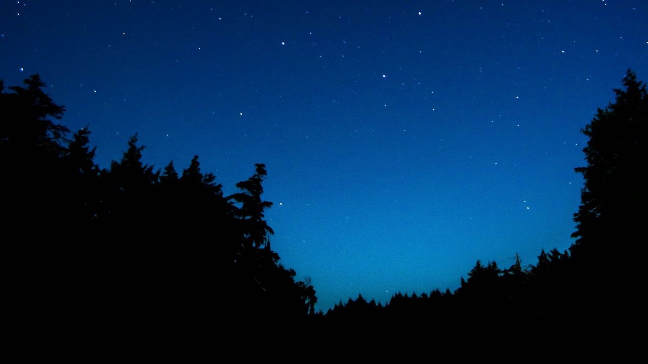 Wallpaper starry sky, trees, night, dark, outlines