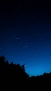 Preview wallpaper starry sky, trees, night, dark, outlines