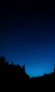 Preview wallpaper starry sky, trees, night, dark, outlines