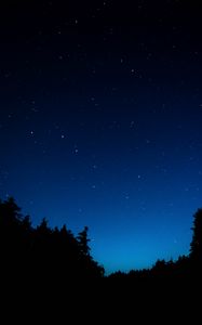 Preview wallpaper starry sky, trees, night, dark, outlines