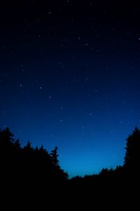 Preview wallpaper starry sky, trees, night, dark, outlines