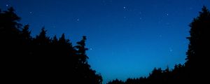 Preview wallpaper starry sky, trees, night, dark, outlines