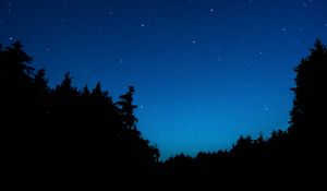 Preview wallpaper starry sky, trees, night, dark, outlines