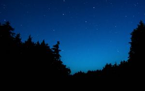 Preview wallpaper starry sky, trees, night, dark, outlines