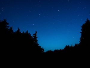 Preview wallpaper starry sky, trees, night, dark, outlines