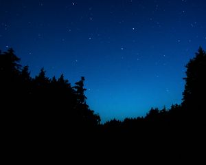 Preview wallpaper starry sky, trees, night, dark, outlines