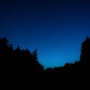 Preview wallpaper starry sky, trees, night, dark, outlines