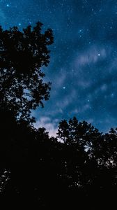 Preview wallpaper starry sky, trees, night, stars, clouds, dark