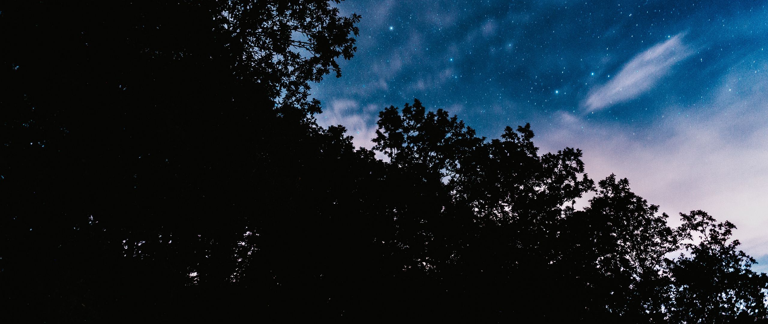 Download wallpaper 2560x1080 starry sky, trees, night, stars, clouds