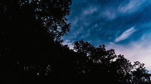 Preview wallpaper starry sky, trees, night, stars, clouds, dark