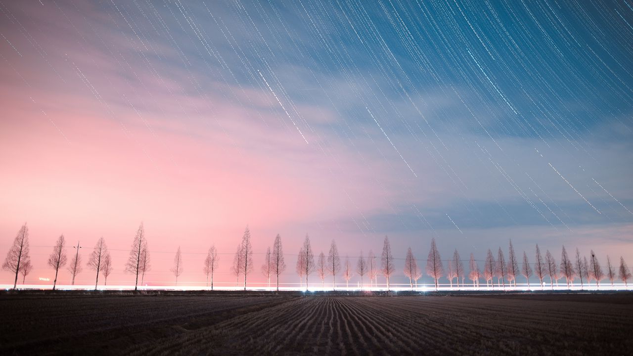 Wallpaper starry sky, trees, night, sky, stars