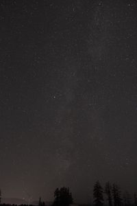 Preview wallpaper starry sky, trees, night, stars, dark