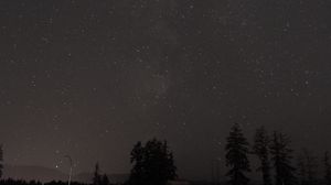 Preview wallpaper starry sky, trees, night, stars, dark