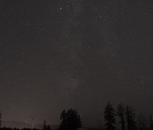 Preview wallpaper starry sky, trees, night, stars, dark