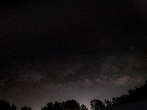 Preview wallpaper starry sky, trees, night, dark