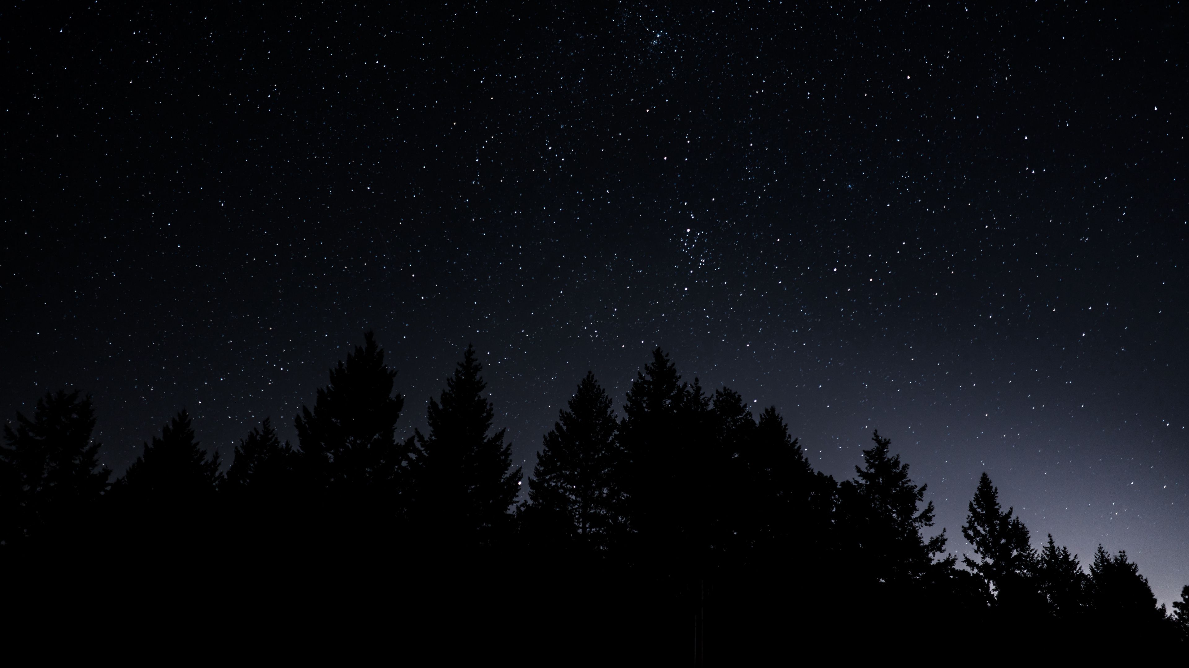 Download wallpaper 3840x2160 starry sky, trees, night, radiance 4k uhd