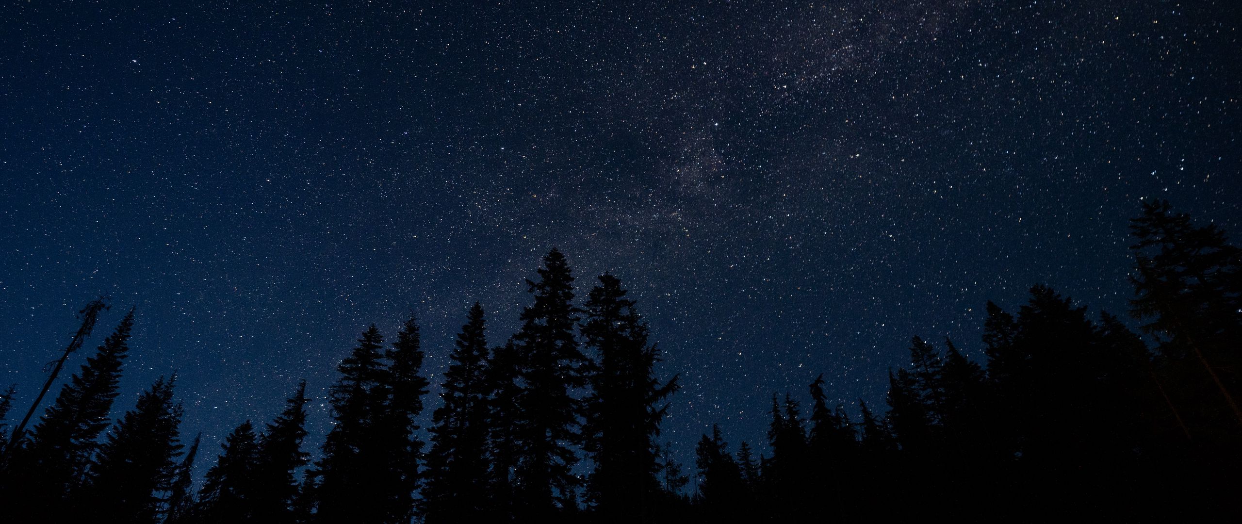 Download wallpaper 2560x1080 starry sky, trees, night, radiance dual