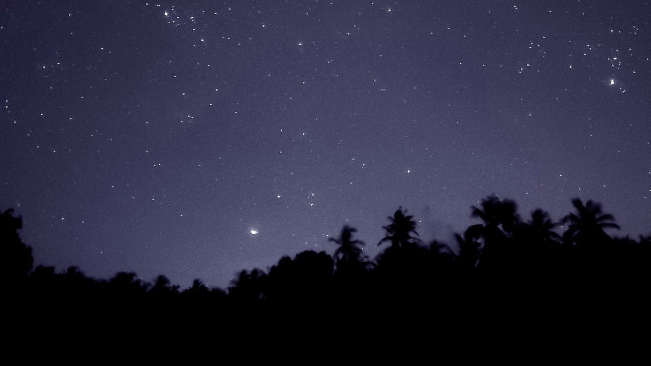 Wallpaper starry sky, trees, outlines, night, dark