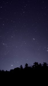 Preview wallpaper starry sky, trees, outlines, night, dark