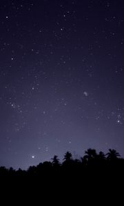 Preview wallpaper starry sky, trees, outlines, night, dark