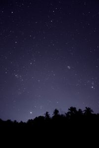 Preview wallpaper starry sky, trees, outlines, night, dark