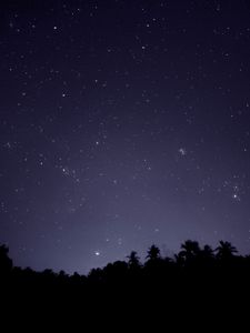 Preview wallpaper starry sky, trees, outlines, night, dark