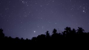 Preview wallpaper starry sky, trees, outlines, night, dark