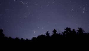 Preview wallpaper starry sky, trees, outlines, night, dark