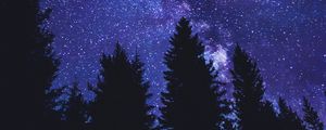 Preview wallpaper starry sky, trees, silhouette, night, dark