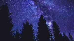 Preview wallpaper starry sky, trees, silhouette, night, dark