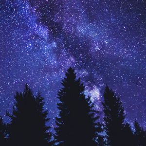 Preview wallpaper starry sky, trees, silhouette, night, dark