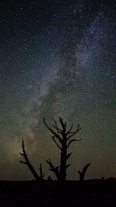 Preview wallpaper starry sky, trees, silhouettes, stars, night