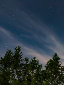 Preview wallpaper starry sky, trees, sky