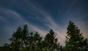 Preview wallpaper starry sky, trees, sky