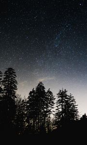 Preview wallpaper starry sky, trees, sky, night, glitter