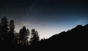 Preview wallpaper starry sky, trees, sky, night, glitter