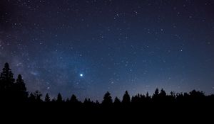 Preview wallpaper starry sky, trees, space