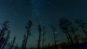 Preview wallpaper starry sky, trees, stars, night