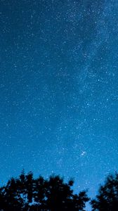 Preview wallpaper starry sky, trees, stars, night, radiance