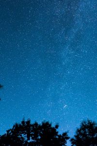 Preview wallpaper starry sky, trees, stars, night, radiance