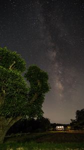 Preview wallpaper starry sky, trees, stars, night, forest
