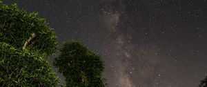 Preview wallpaper starry sky, trees, stars, night, forest