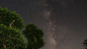 Preview wallpaper starry sky, trees, stars, night, forest