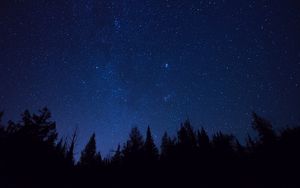 Preview wallpaper starry sky, trees, stars, night, fir-tree, outlines