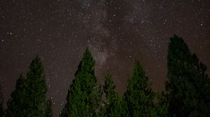Preview wallpaper starry sky, trees, stars